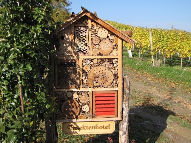 In der Südsteiermark gefunden