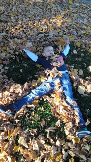 Tobias Halling liebt die bunten Blätter im Herbst