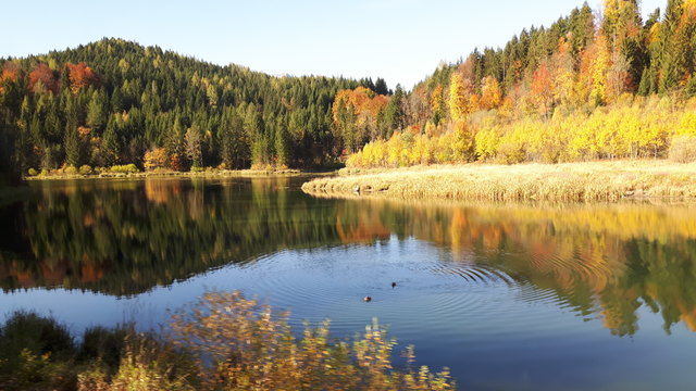Herbst am Erlaufsee