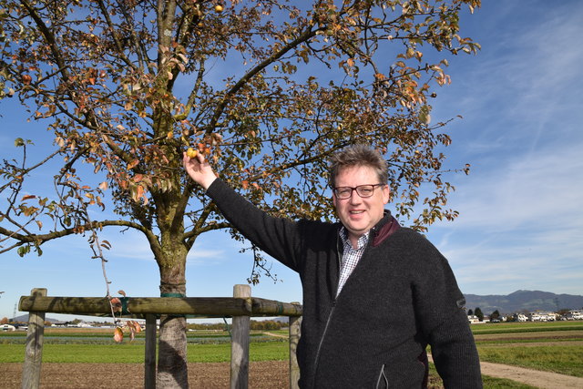 Matthias Seidl beim Birnen-Pflücken.