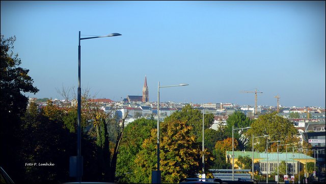 Ich liebe diesen Blick auf Wien. Es ist das Gefühl, nach Hause zu kommen.