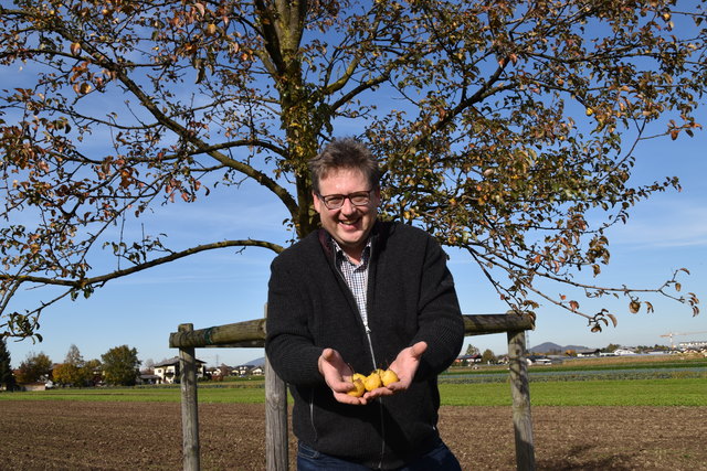 Matthias Seidl mit seiner Birnen-Ausbeute.
