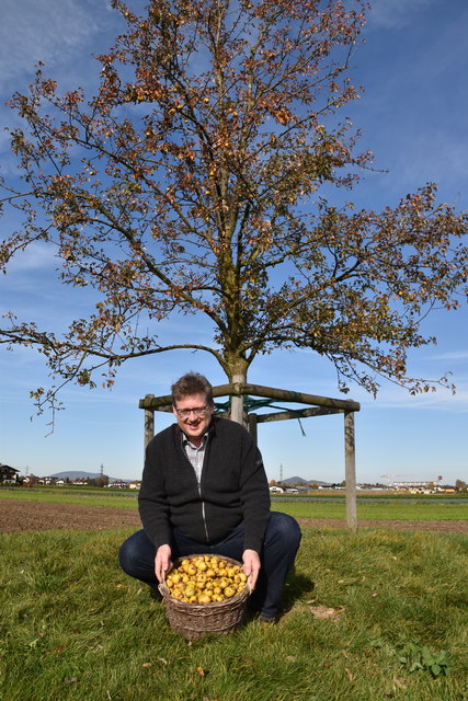 Matthias Seidl mit seiner Birnen-Ausbeute.