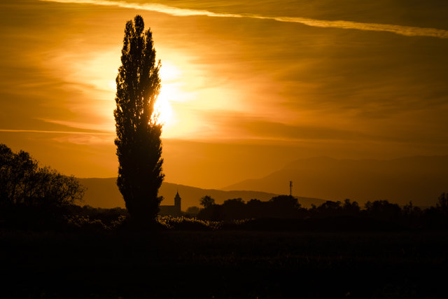 Blick Richtung Trausdorf