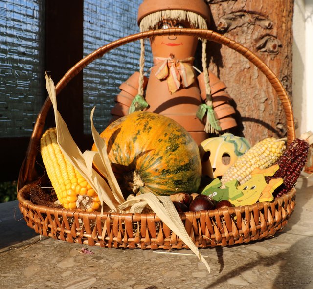 Alles für den Herbst