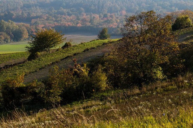 Wie in der Toscana, aber Herbst bei Stotzing