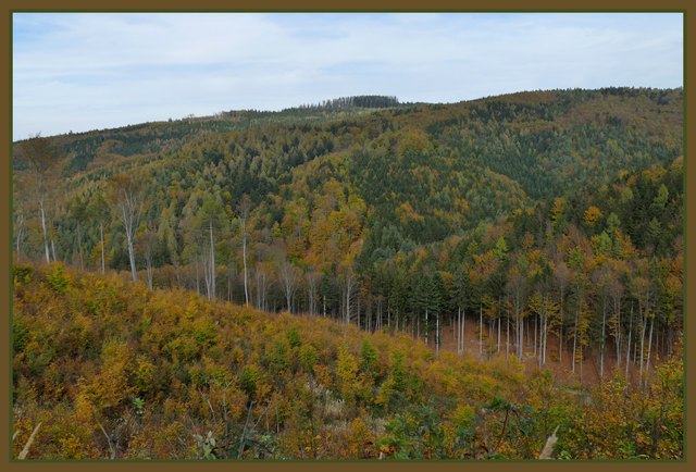herbstliche Stille im Rosaliengebirge
