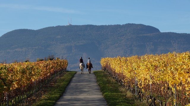 zusamen bis zum Ende der Welt