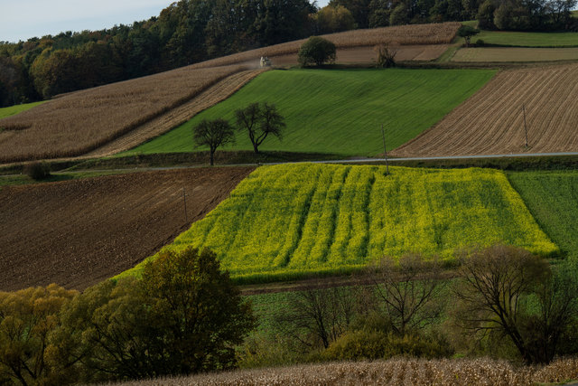 Herbstliche Vielfalt bei Jormannsdorf 1
