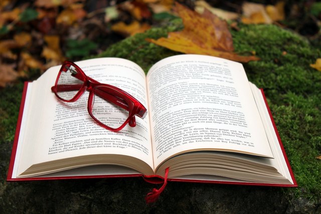 Foto: pixabay.com/holiho