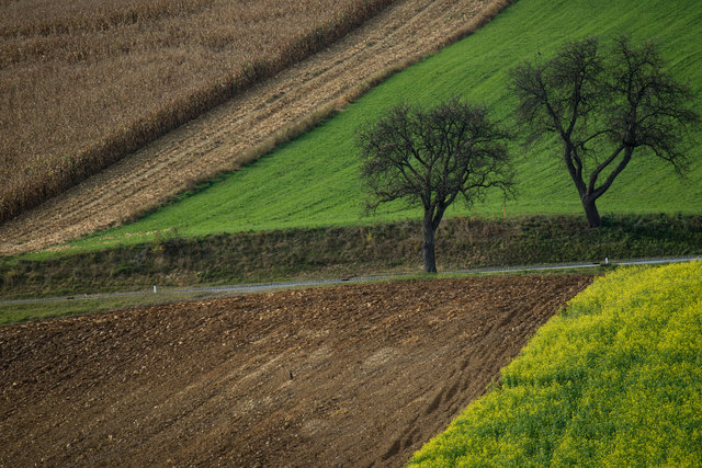 Herbstliche Vielfalt bei Jormannsdorf 2