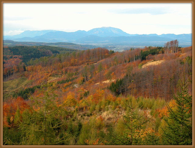 zwischen Schneeberg und Rosalia