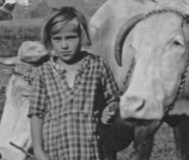 Foto: Buschenreiter