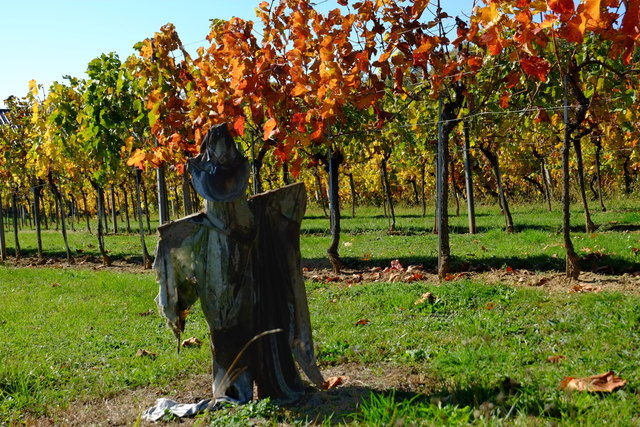 Vogelscheuche am Csaterberg