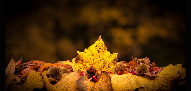 Wenn der Herbst ins Land zieht Aufgenommen in Güssing