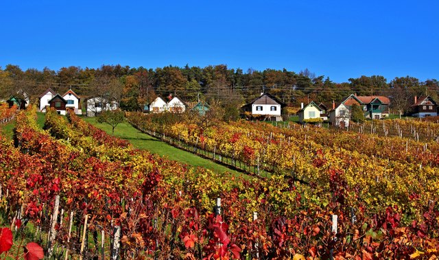 Csaterberg in Herbst