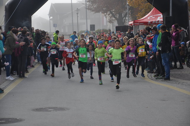 Die Jüngsten eröffneten den Herbstlauf in Niedernsill