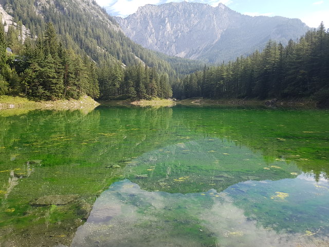 Grüner See!