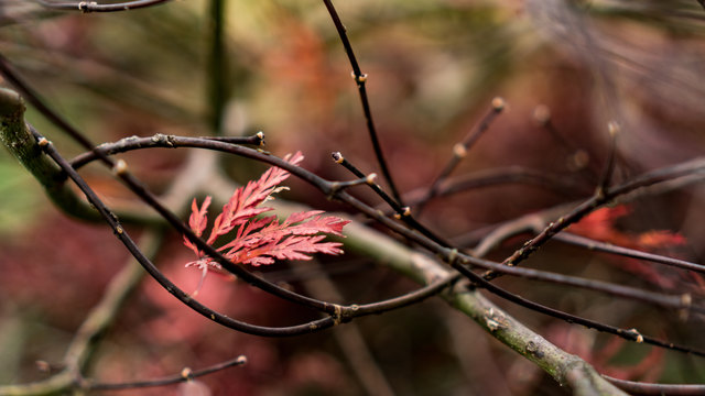 Ein Klecks von Farbe...