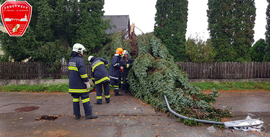 Der umgestürzte Baum riss eine Straßenlaterne mit sich.