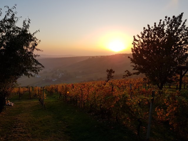 Sonnenuntergang am Eisenberg im Herbst