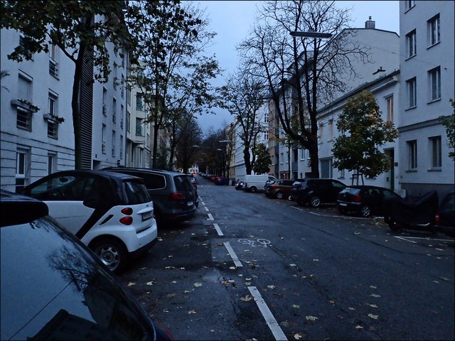 Keine Sonne, feucht, entlaubte Bäume, Laub auf der Straße...