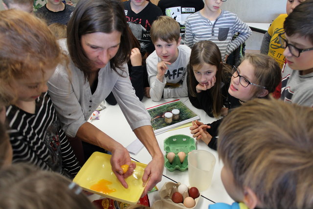 Im Fach Biologie erklärte Petra Reinalter alles rund um das Ei. | Foto: Lukas Kathrein