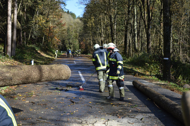 In St. Florian mussten ebenfalls zahlreiche umgestürzte Bäume weggeräumt werden. | Foto: FF St. Florian/I.