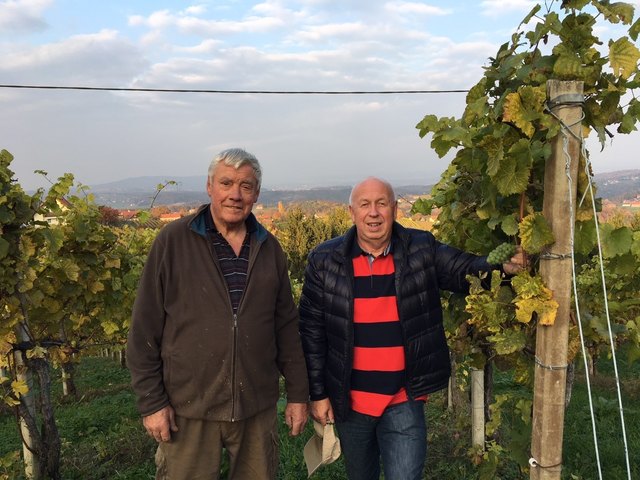 Im höchst gelegenen Weinort Europas in Kitzeck hat Franz Koschak (links) seine Weingärten angelegt.