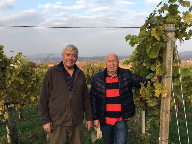 Im höchst gelegenen Weinort Europas in Kitzeck hat Franz Koschak (links) seine Weingärten angelegt. | Foto: Gruber