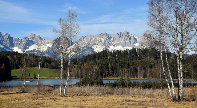 Der schneebedeckte Wilde Kaiser im Hintergrund - grüne Wiesen, Schwarzsee und weiße Birken am Schilfgürtel.