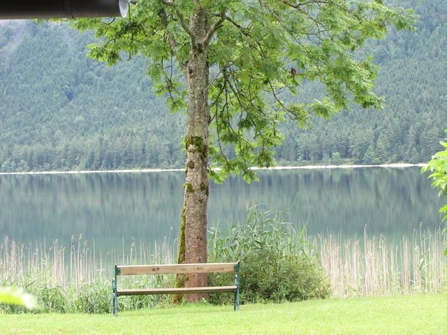 in Altaussee im Sommer aufgenommen