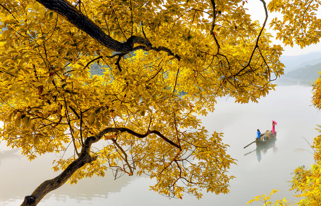 "Coming From The Mist" | Foto: Zhang Kui
