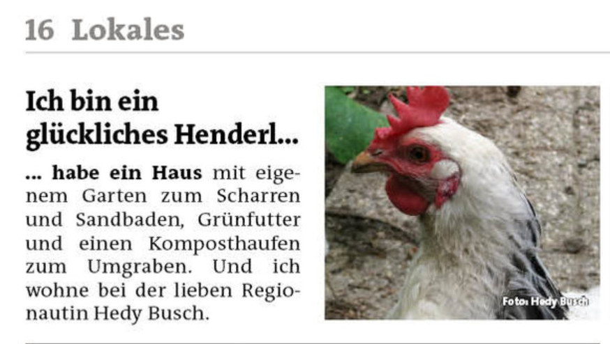 ... und "Fee" mein Sussex-Henderl freut sich mit mir ;-))))))