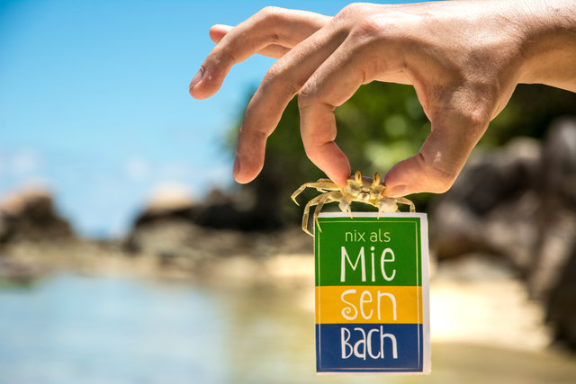 Das krabbige Gewinnerfoto von Lukas Schönbacher überzeugte die unabhängige Jury.