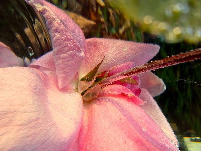 Foto: © by bettina seier