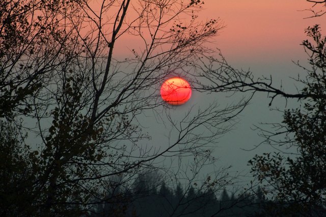 Nebel lag über das Donautal bevor die Sonne versank