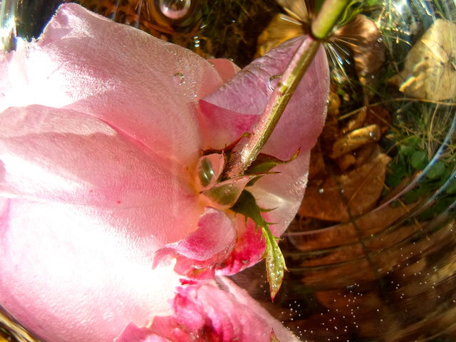 Foto: © by bettina seier