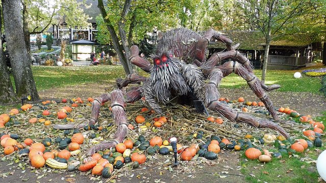 Noch eine Spinne samt Netz!