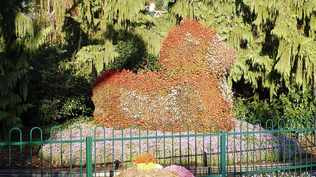 Diese Ente wird aus Begonienblüten gemacht.