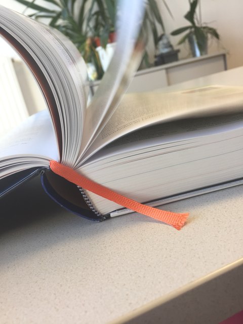 Symbolbild: Verena Siebenhofer
