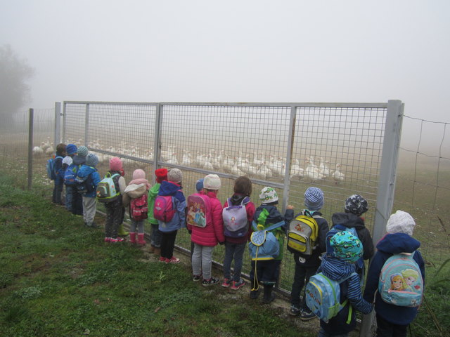Foto: Kindergarten Deutsch Schützen