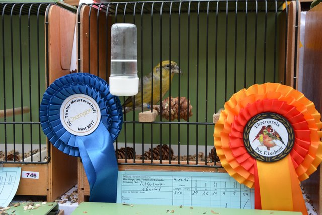 Landesausstellung der Vogelzüchter in der Gärtnerei BAIR - Imst