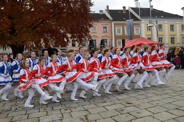 Spannende Show-Einlagen der Kindergarde | Foto: BRS/Pointinger