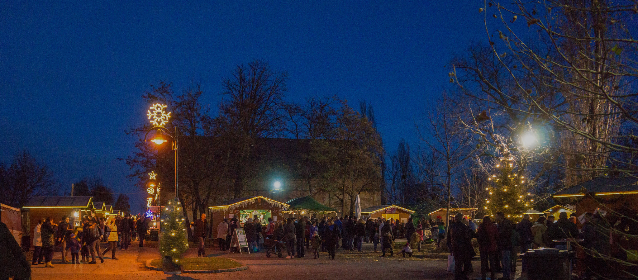 Advent beim Schloss Vösendorf - Mödling