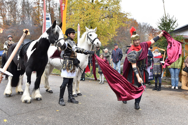 Foto: Wolfgang Spitzbart