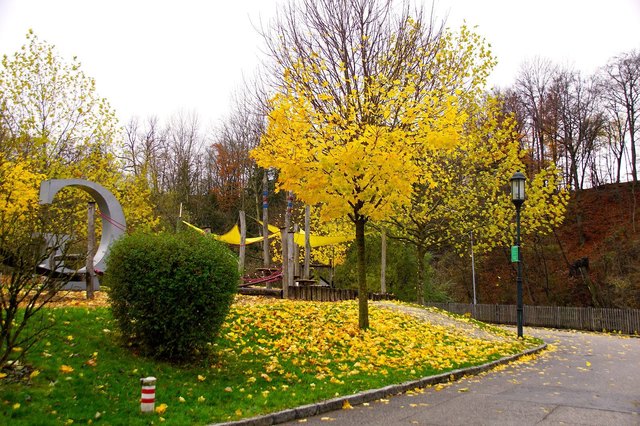 Foto: Peter Sommer