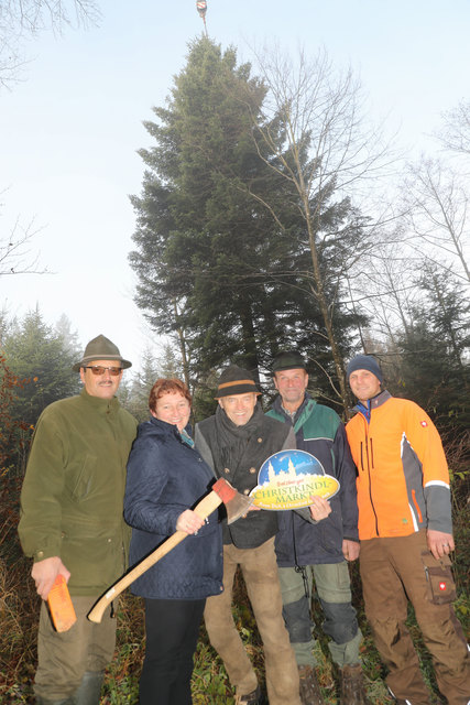 Fällung des Christbaumes für den Salzburger Chistkindlmarkt in der Gemeinde LamprechtshausenFoto: Franz Neumayr     14.11.2017v.l. Altbürgermeister Johann Griessner, Bürgermeisterin Andrea  Pabinger, Obmann Wolfgang Haider sowie die Baumspender Peter und Franz Scharl | Foto: Neumayr