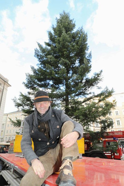 Wolfgang Haider, Obmann des Salzburger Christkindlmarktes, vor der aufgestellten Fichte am Residenzplatz | Foto: Neumayr