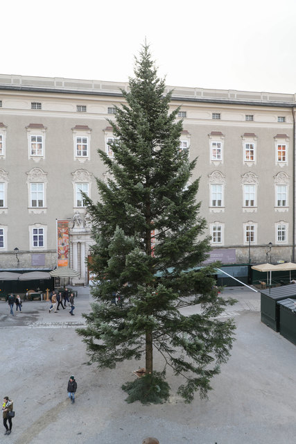 Der Christbaum wurde am Residenzplatz angeliefert und aufgebaut | Foto: Neumayr